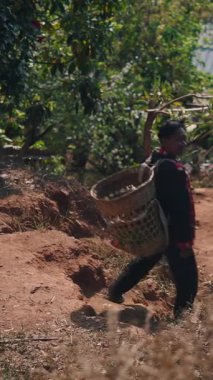 Deneyimli Güneydoğu Asyalı çiftçi tozlu bir köy yolunda tepetaklak yürürken sırtında büyük bir hasır sepet taşıyor.