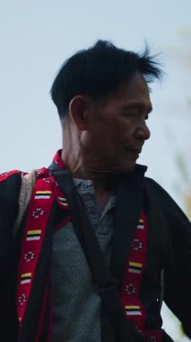 Profesyonel bir çay çiftçisi, Asya 'nın FullHD dikey ortamında geleneksel tarım çalışmalarını sergileyen bir tarladan taze yeşil çay yaprakları seçer ve toplar.