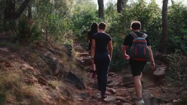 Sırt çantalı genç arkadaşlar ormanda bir yürüyüş sırasında kayalık bir yolda yürüyorlar - 4K Yatay