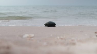 Köpüklü dalgalar yavaşça kıyıya ulaşırken tek bir kaya hafif kumların üzerinde dinleniyor.