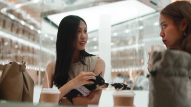 İki neşeli bayan arkadaş Chihuahua köpeklerini tutarken kahve içip sohbet ediyorlar.