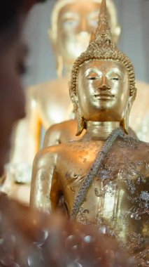 Tayland 'da sakin bir Budist tapınağının içindeki meditasyon yapan altın Buda heykeline yakından bakın.