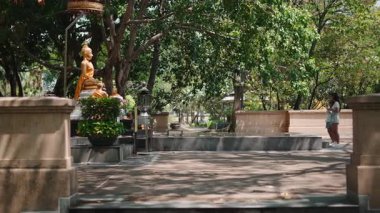 Asyalı bir kız, yeşil ağaçlarla çevrili altın bir Buda heykeliyle dini bir tapınakta dua ediyor.