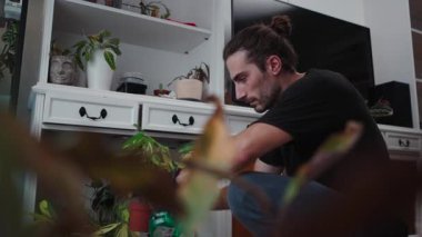 Genç bir adam topuz ile modern bir oturma odasında ev bitkileriyle ilgileniyor.