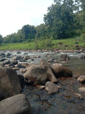 Ormanda güzel bir şelale