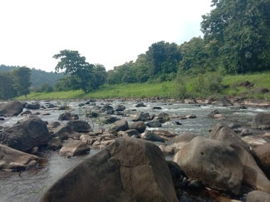 Ormanda güzel bir şelale