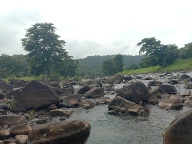 Ormanda dağları olan güzel bir manzara.