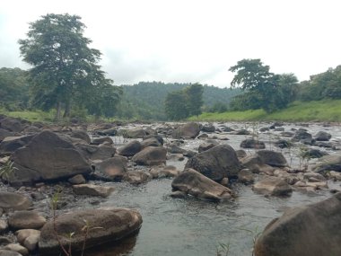Nehir ve ormanlı güzel bir manzara.