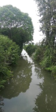 Ormandaki nehrin güzel manzarası