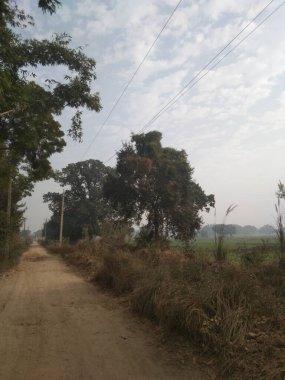 Kırsal kesimde yaz aylarında Hindistan kırsal kesimlerinde