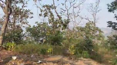 Doğanın güzel manzarası