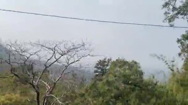 Dağlardaki ormanın güzel manzarası