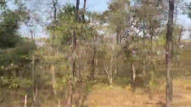 Doğanın güzel manzarası