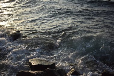 Sahildeki deniz dalgaları.