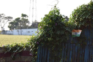 Hindistan, Delhi - Kasım 16: 02 0 17: Arkasında yeşil bir yaprak olan Kızılderili bayrağı.