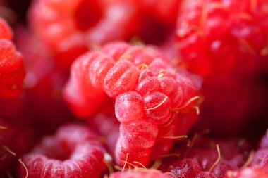 Taze Kırmızı Ahududu aldı