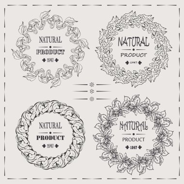 zarif vektör çerçeveler doğal ürün vintage hipster cool tasarım