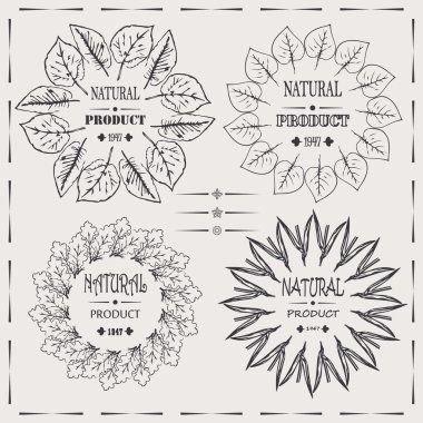 zarif vektör çerçeveler doğal ürün vintage hipster cool tasarım