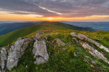 Ukrayna Karpatlar 'ında altın sonbahar