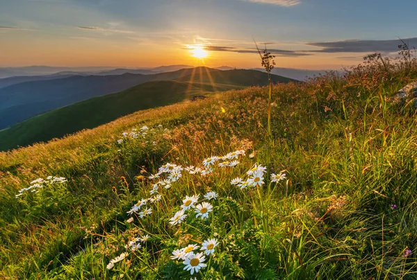 Ukrayna Karpatlar Inda Altın Sonbahar — Stok fotoğraf