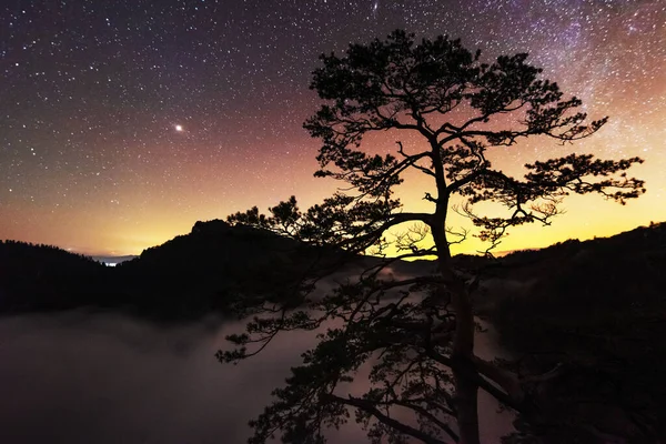 Sternennächte Der Hohen Tatra Mit Einem Touristen Zelt Auf Dem — Stockfoto