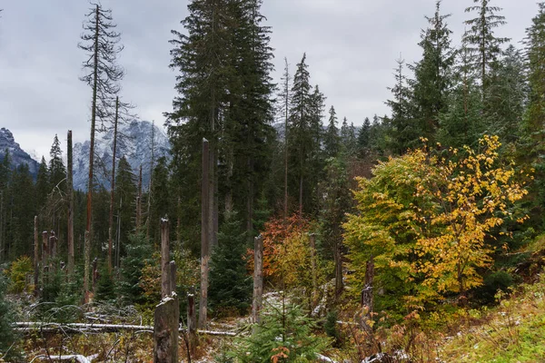 高タトラの道路上の秋と冬 — ストック写真