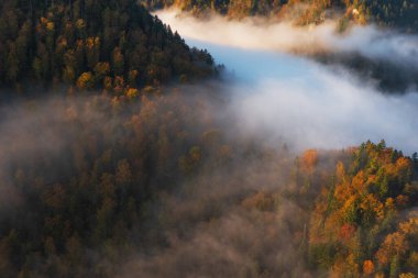 Dağlarda altın sonbahar, sabah sisleri ve ağaçlarda sarı-kırmızı yapraklarla