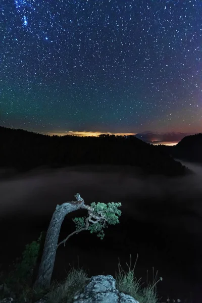 Eine Wunderschöne Sternenklare Nacht Den Bergen Auf Dem Gipfel Mit — Stockfoto