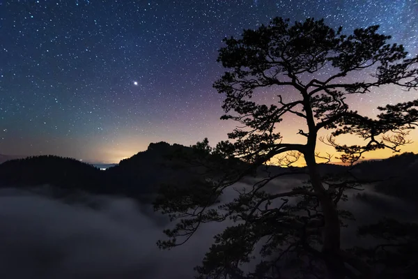 Eine Wunderschöne Sternenklare Nacht Den Bergen Auf Dem Gipfel Mit — Stockfoto