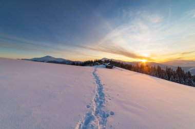 Ukrayna Karpat Dağları 'ndaki bir sıradağda sert bir kış. Konforlu evleri ve Hoverla ve Petros' un zirvelerinin muhteşem manzarası var.