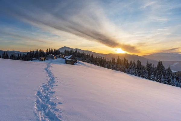 Invierno Severo Una Cordillera Las Montañas Los Cárpatos Ucrania Con — Foto de Stock