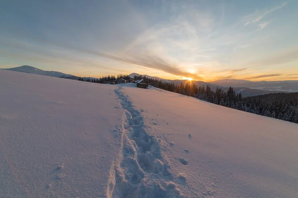 Invierno Severo Una Cordillera Las Montañas Los Cárpatos Ucrania Con — Foto de Stock