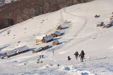 Ukrayna Karpatlar 'ında, turistlerle dolu karlı bir kış.