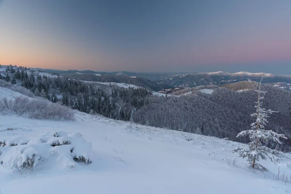 乌克兰喀尔巴阡山脉的雪冬 与游客同行 — 图库照片