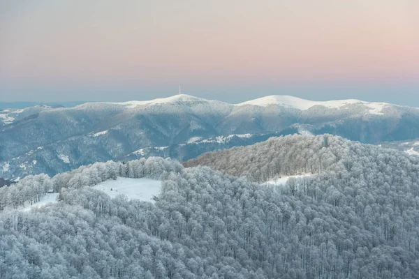 乌克兰喀尔巴阡山脉的雪冬 与游客同行 — 图库照片