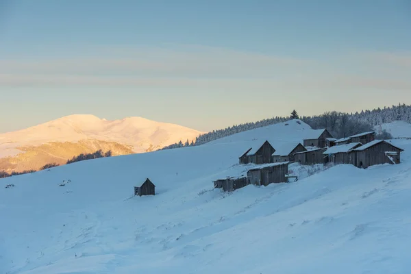 Invierno Nevado Las Montañas Los Cárpatos Ucranianos Con Turistas Viajeros —  Fotos de Stock