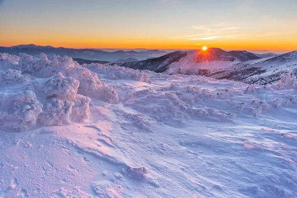 Морозная Снежная Зима Горном Хребте Вечером Украинских Карпатах — стоковое фото