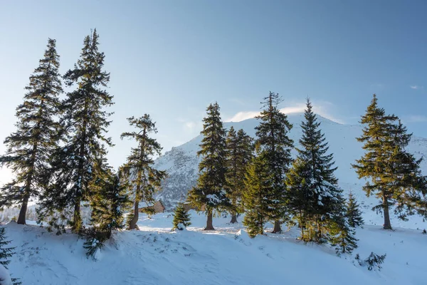 乌克兰喀尔巴阡山脉的雪冬和风景如画的山居 — 图库照片