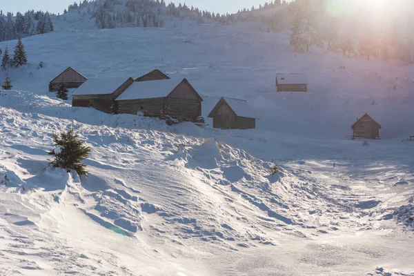 Inverno Nevado Nos Cárpatos Ucranianos Pitorescas Casas Montanha — Fotografia de Stock