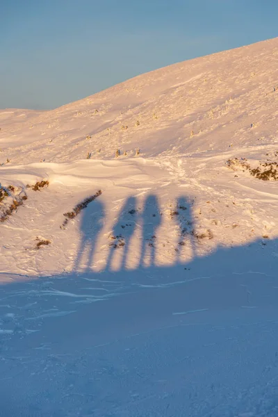 Köpekli Turistler Kar Fırtınasında Dağlarda Kötü Havada Seyahat Ederler — Stok fotoğraf