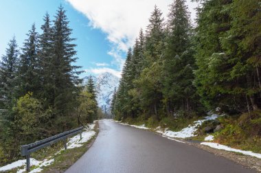 Sonbahar ağaçları ve karla kaplı yüksek dağlarla dolu bir yol.