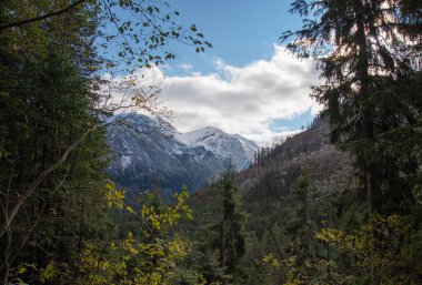Sonbahar ağaçları ve karla kaplı yüksek dağlarla dolu bir yol.