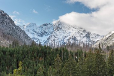 Sonbahar ağaçları ve karla kaplı yüksek dağlarla dolu bir yol.
