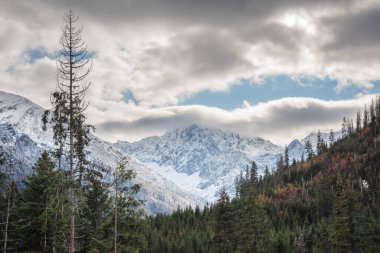 Sonbahar ağaçları ve karla kaplı yüksek dağlarla dolu bir yol.