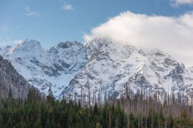 Sonbahar ağaçları ve karla kaplı yüksek dağlarla dolu bir yol.
