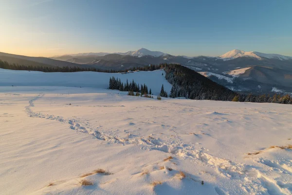 Invierno Nevado Los Cárpatos Ucranianos Pintorescas Casas Montaña — Foto de Stock