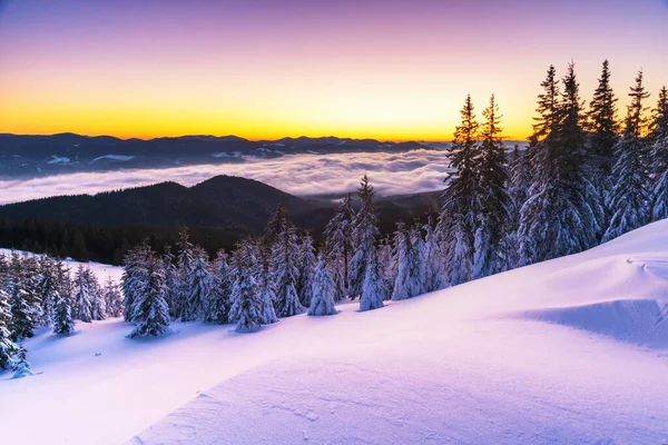 Invierno Las Montañas Los Cárpatos Ucranianos Con Nieblas Matutinas — Foto de Stock