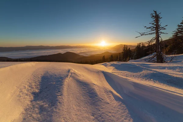 Invierno Las Montañas Los Cárpatos Ucranianos Con Nieblas Matutinas — Foto de Stock