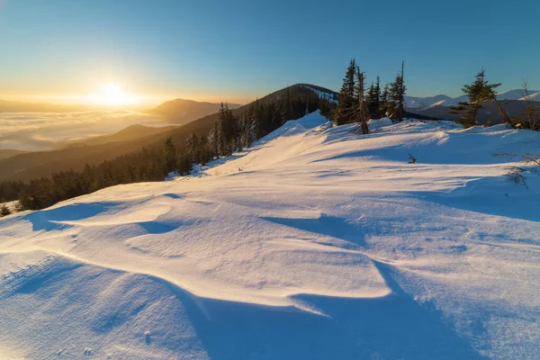 Invierno Las Montañas Los Cárpatos Ucranianos Con Nieblas Matutinas — Foto de Stock