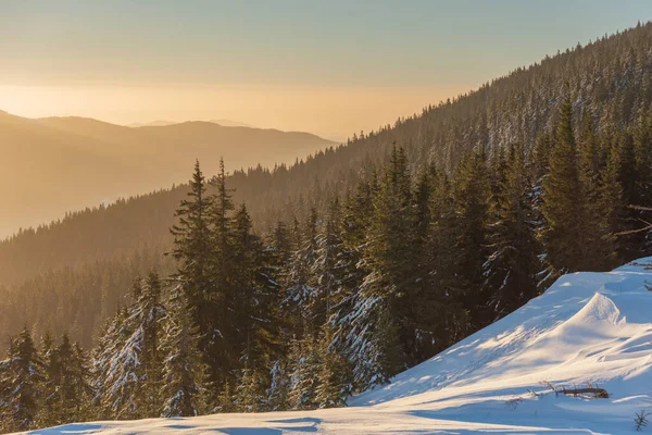 Invierno Las Montañas Los Cárpatos Ucranianos Con Nieblas Matutinas — Foto de Stock